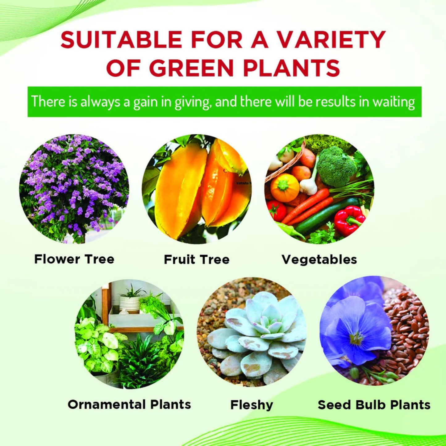 Organic Liquid Biofertilizer (Buy 1 Get 3 Free)