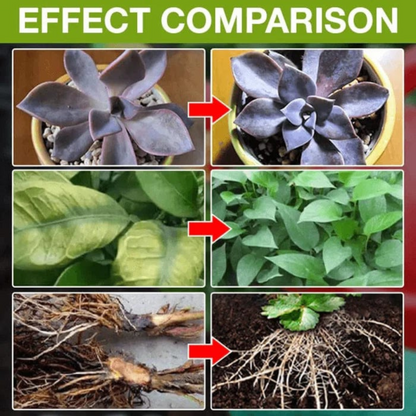 Organic Liquid Biofertilizer (Buy 1 Get 3 Free)