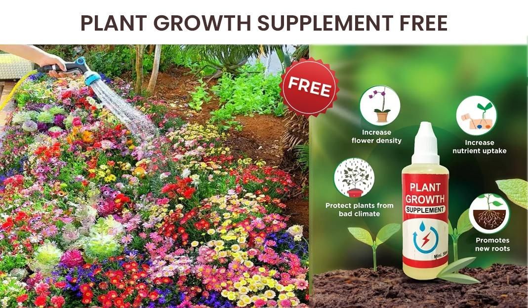 ✨Mix Premium Flower Seed's + Plant Growth Supplement Free