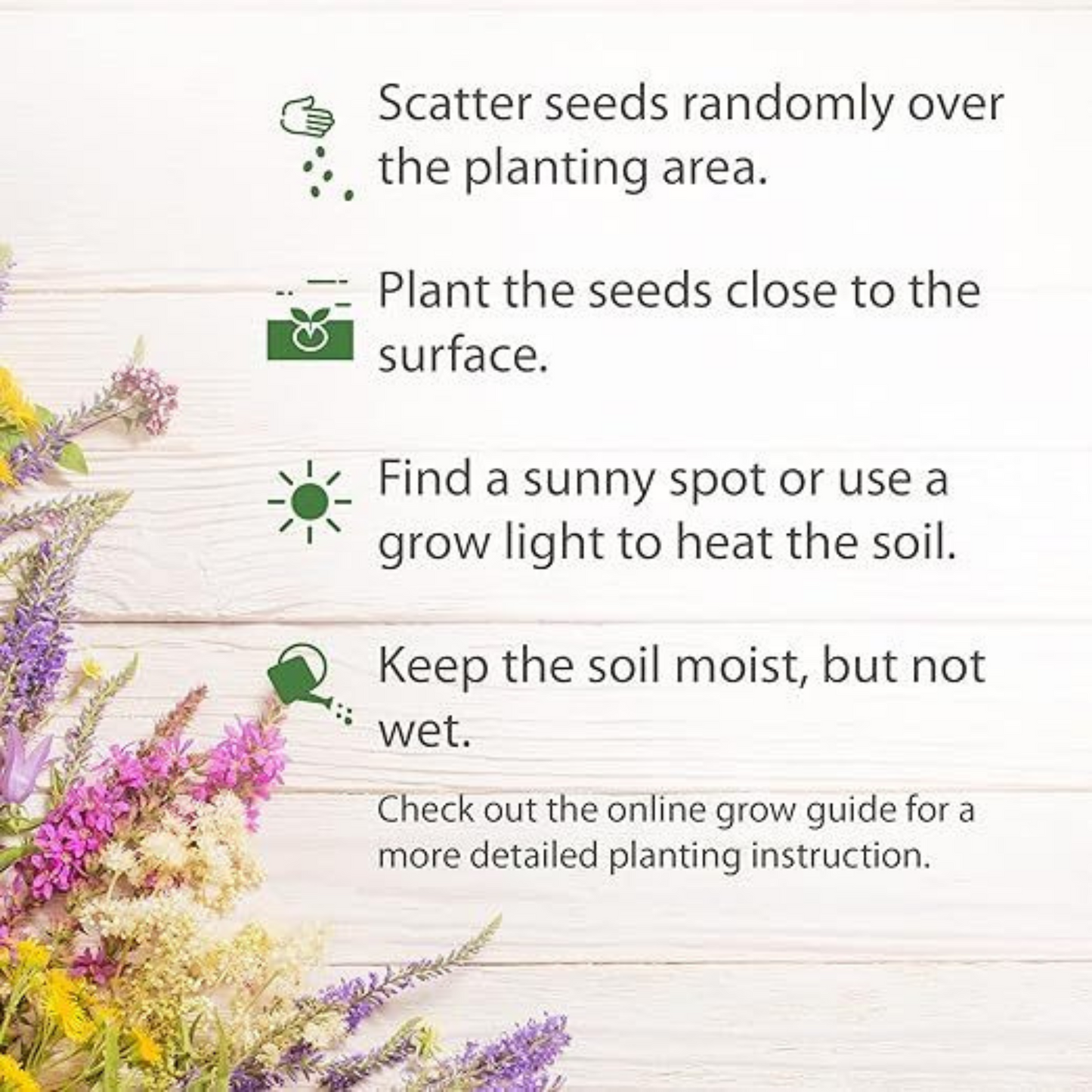 ✨Mix Premium Flower Seed's + Plant Growth Supplement Free