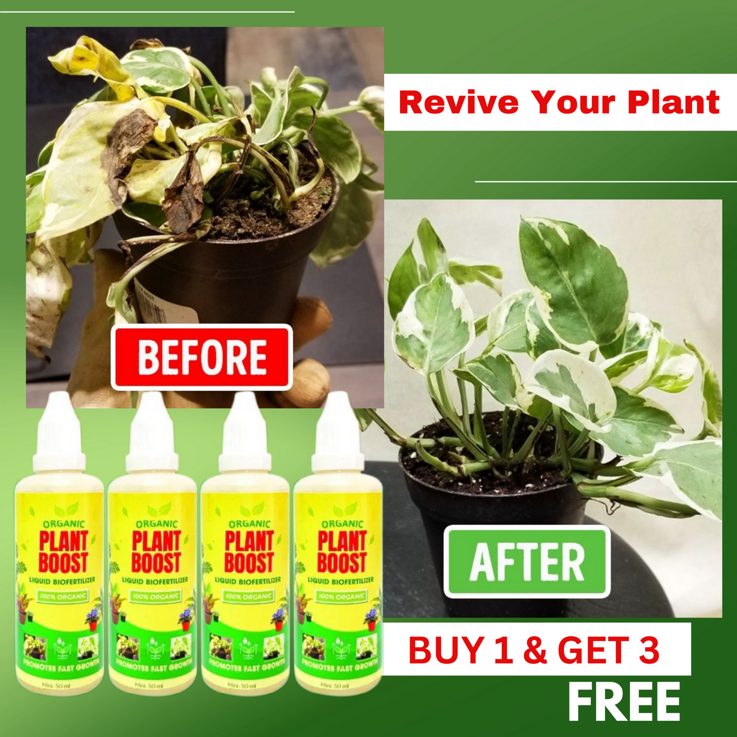 Organic Liquid Biofertilizer (Buy 1 Get 3 Free)
