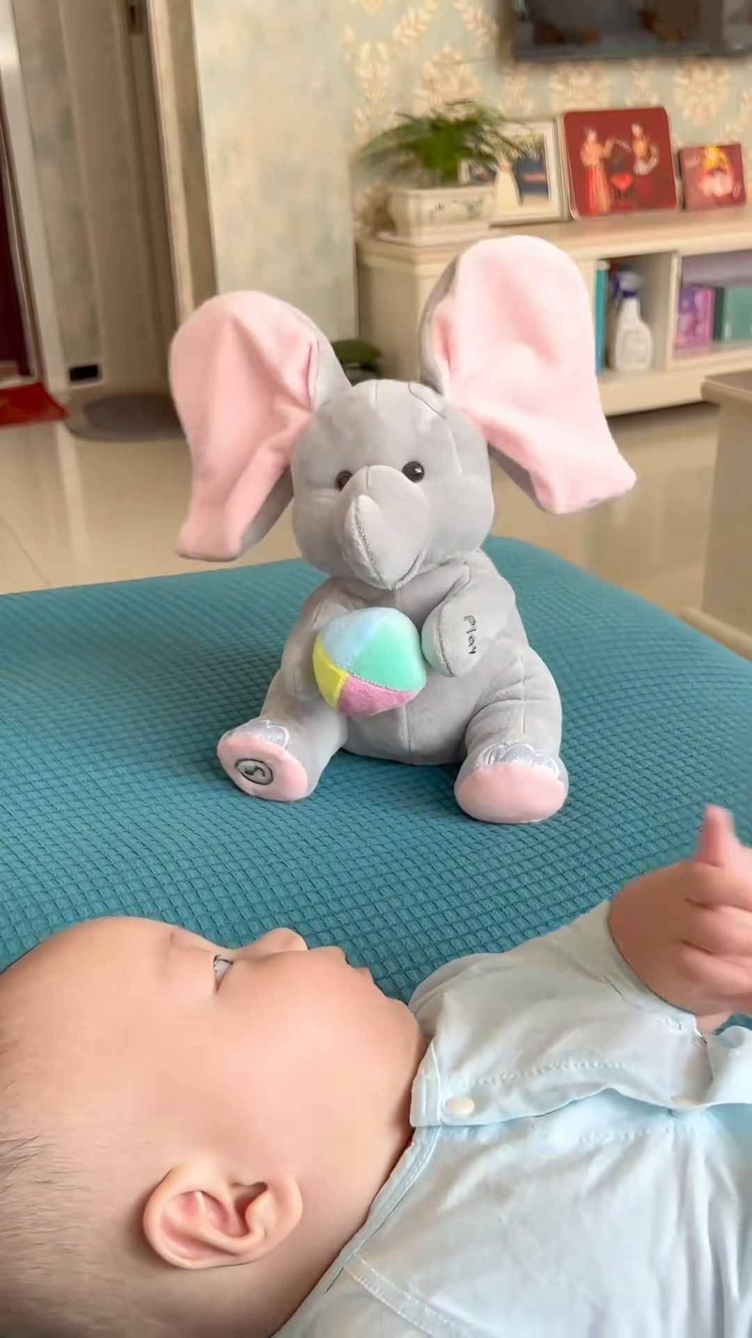 shopgracias-app-videos